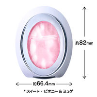 P&G　ファブリーズＷ消臭　玄関用消臭剤　スイート・ピオニー＆ミュゲ　1パック（2個入）　消臭芳香剤