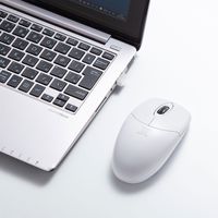 サンワサプライ 静音ワイヤレス抗菌・防水マウス MA-WIR151W 1個（直送品）
