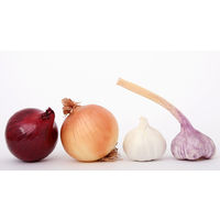 富士貿易 キアーラ ノンオイルパスタソース ガーリック＆オニオン 390g 1セット（2個）