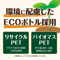 伊藤園 充実野菜 キャロット100 エコボトル 740g 1箱（15本入）【野菜ジュース】