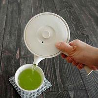 南海通商 急須 460ml ロクサン tokoname 平型 ホワイト 476136 1個（直送品）