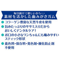 ペティオ 素材そのまま 天然牛皮とササミの歯みがきガム スティック 75g 1袋 犬用 おやつ