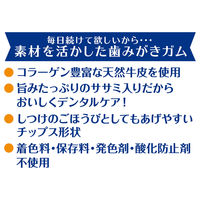 ペティオ 素材そのまま 天然牛皮とササミの歯みがきガム チップス 75g 1袋 犬用 おやつ