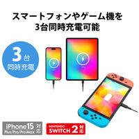 グリーンハウス リン酸鉄モバイルバッテリー PD20対応 20000mAh ブラック GH-LFMBPA200-BK 1個