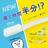 歯ブラシ オクチ チャチャっと  ハブラシ1本 ビタットジャパン