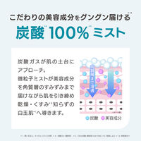 OHIKARI(オヒカリ) ブースターミスト　コンディショニング　120g　ミスト化粧水