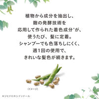 ブローネ　ナチュリラ　色長持ちカラートリートメント　ダークブラウン　大容量パウチ 250g 花王