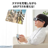 サンワサプライ USB TypeーC 拡張アダプタ(アダプタタイプ・PD対応) AD-ALCCPD01 1個