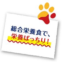 フィリックス ダブルのおいしさ お魚とお肉のよりどりセレクション（50g×12袋）1箱 ネスレ日本 キャットフード ウェット パウチ