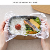 【並行輸入品】岩谷マテリアル なんでもシートミニ アイラップ 1個（70枚入） NNDM-SM