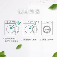 Ka カーポッド ボール型洗濯洗剤 本体 1個（20粒入） 王子製薬