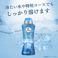 arFUM アフューム 香りビーズ マリンブリーズ 本体 500g 1セット（1個×3） 王子製薬