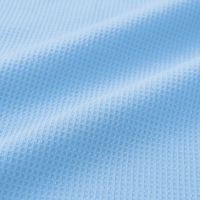 アイトス 長袖ポロシャツ サックス 5L 50017-007-5L 50017 1枚（直送品）