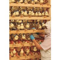 花畑牧場 手造りチーズセット HBTC-04（直送品）