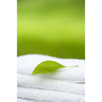 MIYOSHI　液体せっけん そよ風 詰替1L 1箱（12個入） ミヨシ石鹸　リフィル　洗濯　洗たく　洗剤