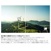 フィリップス 22.5インチ液晶モニター 230S8QHSB/11 1台