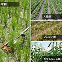 三陽金属 中干しの達人セット No.0845（直送品）