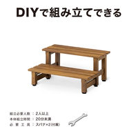 タカショー 美WOODデッキ 2段ステップ ナチュラルウッド BEW-2SNW 1台