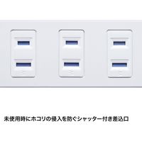 延長コード 電源タップ 5m 2P（ピン） 10個口 スイッチ ホワイト TAP-SP217-5 サンワサプライ 1個
