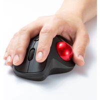 ワイヤレスマウス　無線　静音　3ボタン　大型サイズ　光学式　MA-WTB129BK　サンワサプライ　1個（直送品）