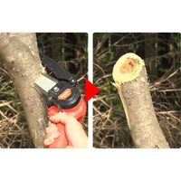 ファミリー・ライフ 充電式コードレス2WAY高枝チェーンソー 8点セット 04169 1個