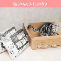 【限定】猫砂 紙砂 パルプエコ（pulpeco）大容量でお得 60L（10L×6袋）オリジナル  限定