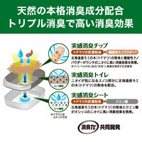 エステーペット 実感消臭 本体セット（チップ2.5kg＋シート4枚＋スコップ）猫用 システムトイレ エステー