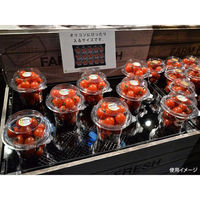 パックスタイル 青果・農産容器 CSミニトマト 150 00588963 1袋(100個)