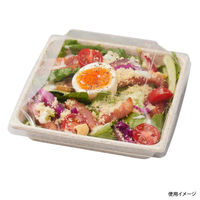 パックスタイル バガス容器 WB 14-14 604002 1袋(50個)（直送品）