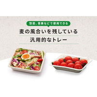 パックスタイル バガス容器 WB 16-11 604004 1袋(50個)（直送品）