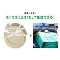 パックスタイル バガス容器 BB丸桶 3 ラミ 283φ×45H 654437 1袋(10個)（直送品）