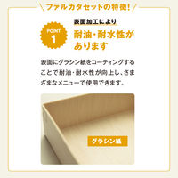 パックスタイル 弁当容器 ファルカタ223-111 セット 650647 1袋(25個)（直送品）