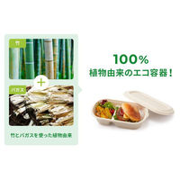 パックスタイル バガス容器 BB楕円ボウル 230-130-2 650231 1袋(50個)（直送品）