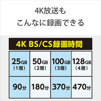 ソニー くり返し録画用BD-RE XL BNE3VEPJ2 1枚入 100GB インクジェットプリンター対応 ホワイト SONY