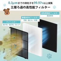 Levoit Vital 100S Pet 空気清浄機 LAP-V102S-AJPR 1台