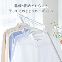 ダイヤ フランドリー・すべりにくいハンガー22P GY 058139 1セット（22本）