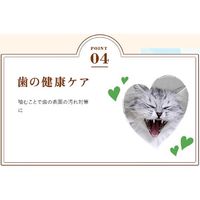 モンプチ クリスピーキッス グレイビーソースかけ チキンセレクト 30g 3袋 キャットフード おやつ