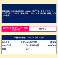 スペアミントガム 15個 ロッテ ガム