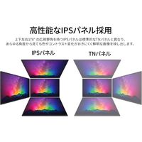 43インチ ワイド液晶ディスプレイ(1920x1080/IPS/HDMIx3/USBx2/スピーカー/半光沢) JN-FHD43IPS-H5（直送品）