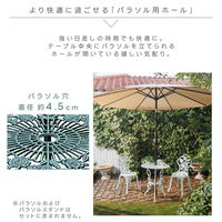 谷村実業株式会社 ローズアルミガーデン３点セット　ホワイト TAN-3003-3WHホワイト 1個（直送品）
