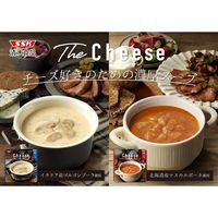 清水食品 The Cheese ゴルゴンゾーラのスープ 1セット（10個）
