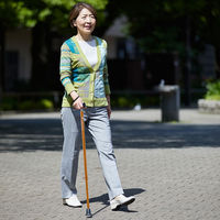 竹虎 バンブーステッキ ブロンズ 104941 1本