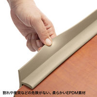 サンワサプライ 落下防止ガード FPG-1N 1個（直送品）