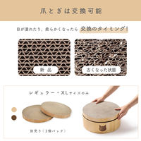 バリバリボウル 猫柄 2個 爪とぎ 猫壱