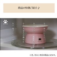 ねこ脚付き フードボウル ペット用 みやわん ホワイト 宮本産業
