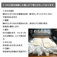 一宮　工夫庵　おぼろ染め　座布団 中綿セット　てつこん　1枚（直送品）