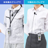 サンワサプライ ワイヤレスガイドシステム(親機) MM-WGS2TN 1個