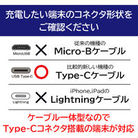 エアージェイ 乾電池式充電器(単3アルカリ乾電池TYPE-Cケーブル付き) BJ-ECUSB1A WH 1台