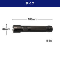 朝日電器 LEDアルミライト DOP-EP560 1個