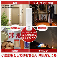 朝日電器 LEDセンサー付ライト PM-L259W 1個